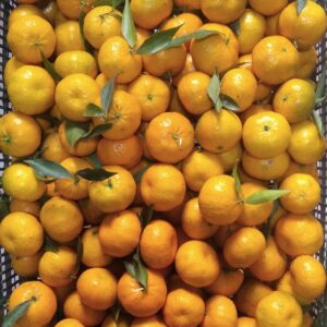 Cassetta di Mandarini Tardivo di Ciaculli